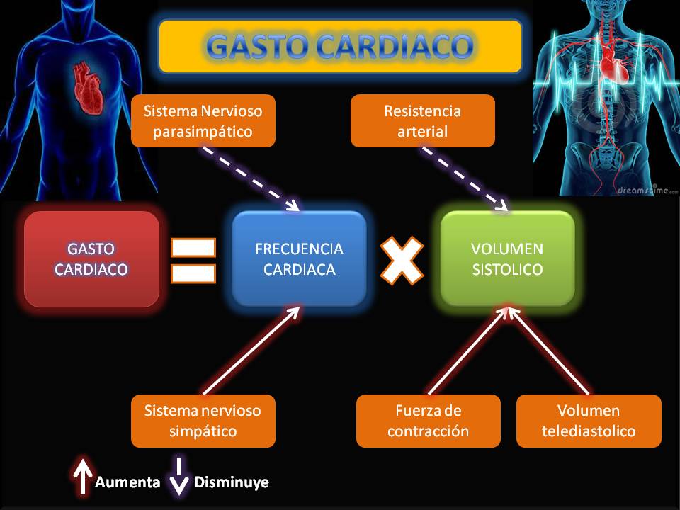 PORTAFOLIO DE EVIDENCIAS, FISIOLOGÍA BASICA JONATHAN I. JIMENEZ UAS