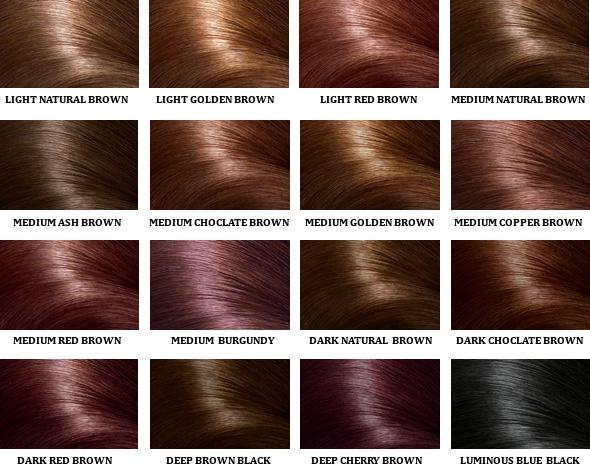 Black Hair Color: Light Brown Hair Color Chart
