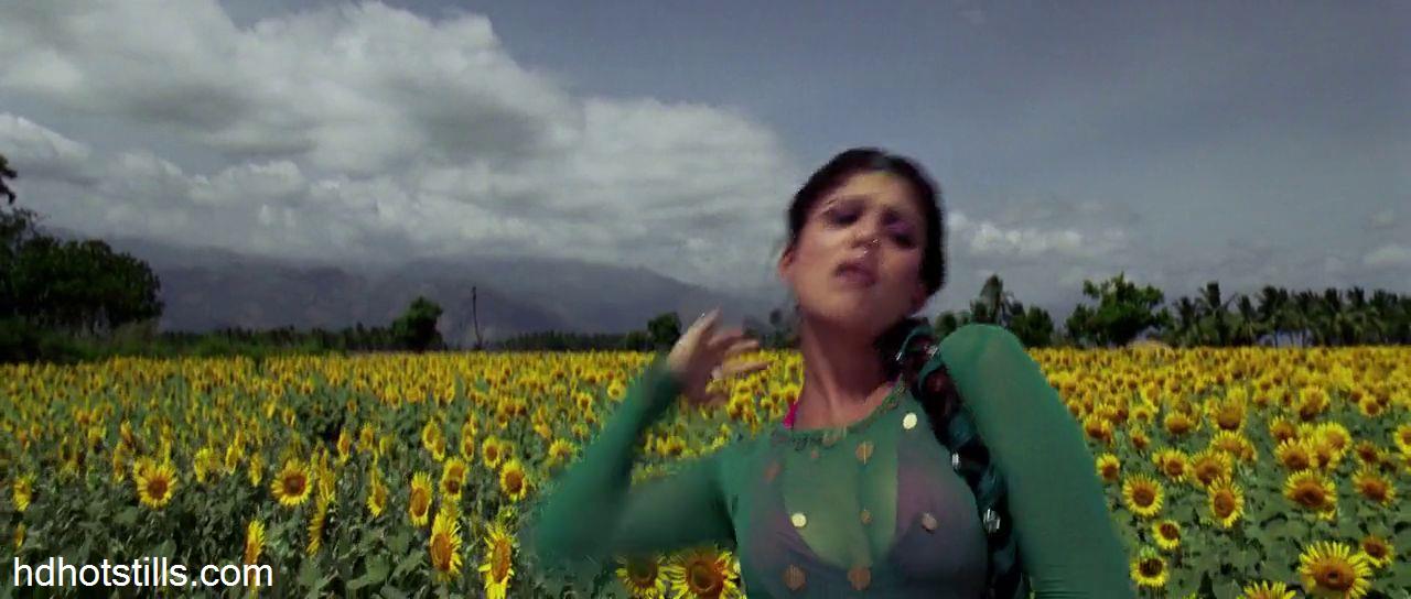 nayantara in villu nayantara in villu