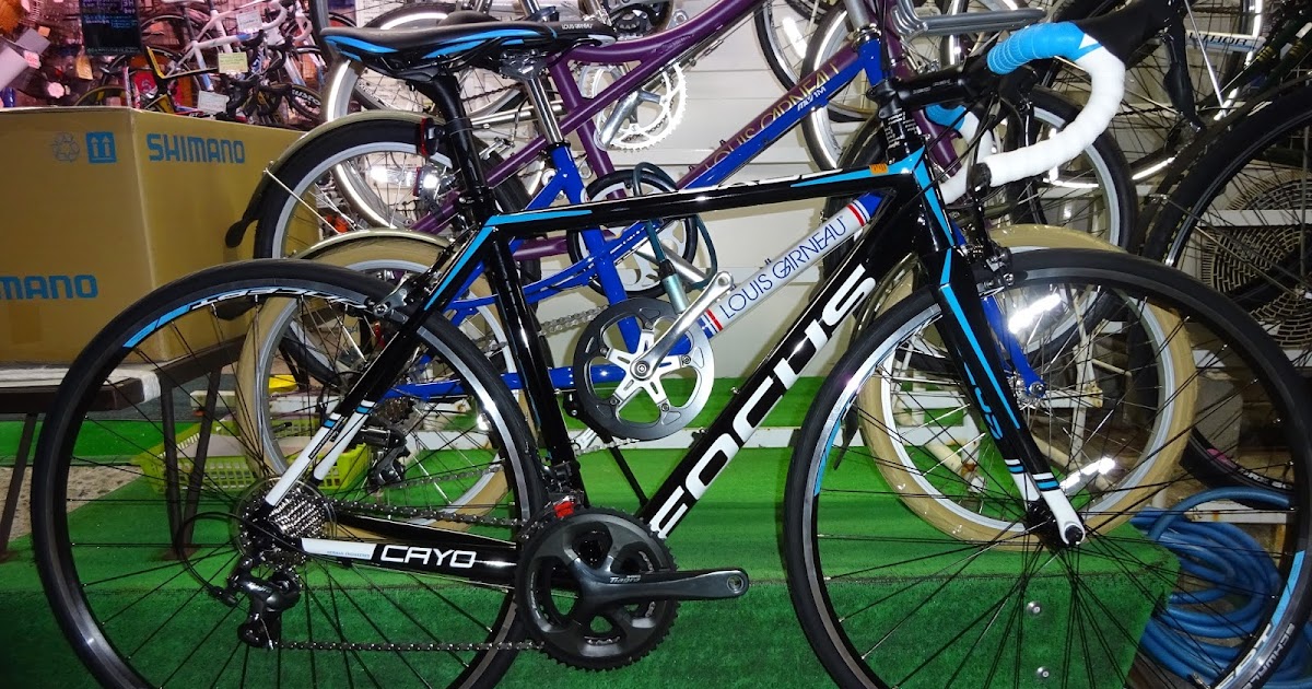 FOCUS 「フォーカス」 CAYO AL TIAGRA カスタム 2017年モデル ロード