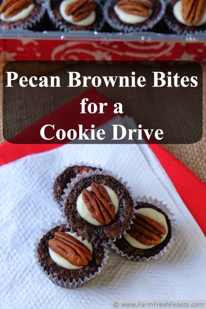http://www.farmfreshfeasts.com/2014/12/pecan-brownie-bites-for-cookie-drive.html