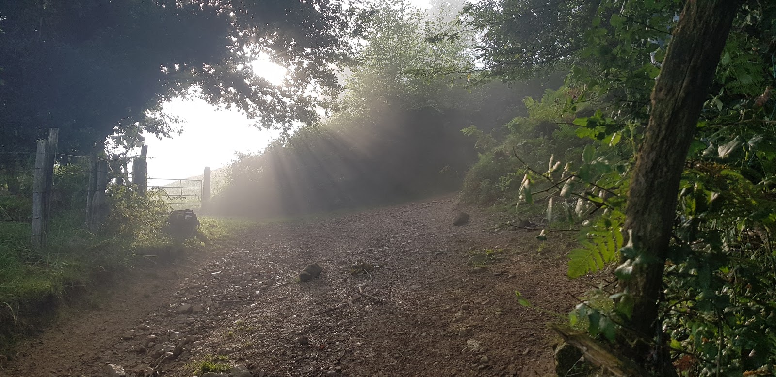 ID2 Rando GR10 Étape 06 St Étienne de Baïgorry Çaro