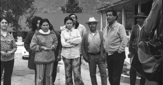 Bracero program benefits picture