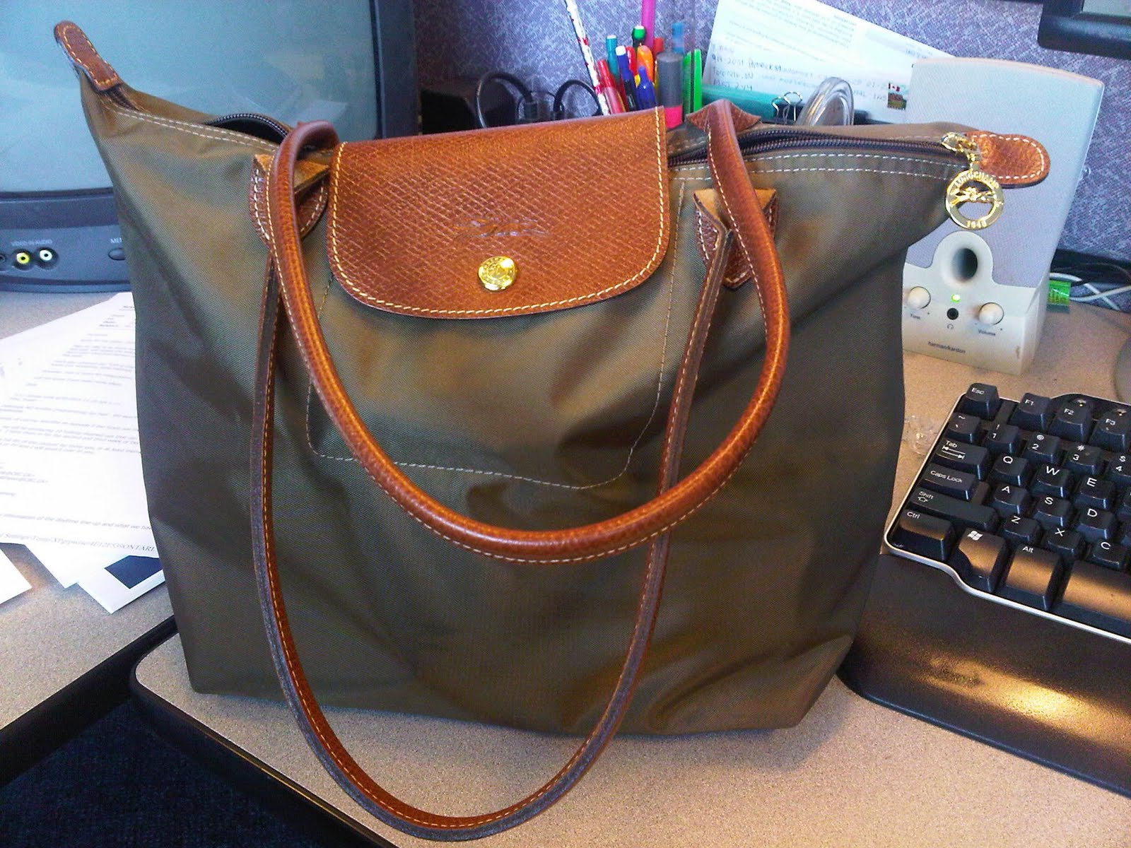 Illuminated in Pink Most Practical & Preppy Tote The Longchamp Le Pliage