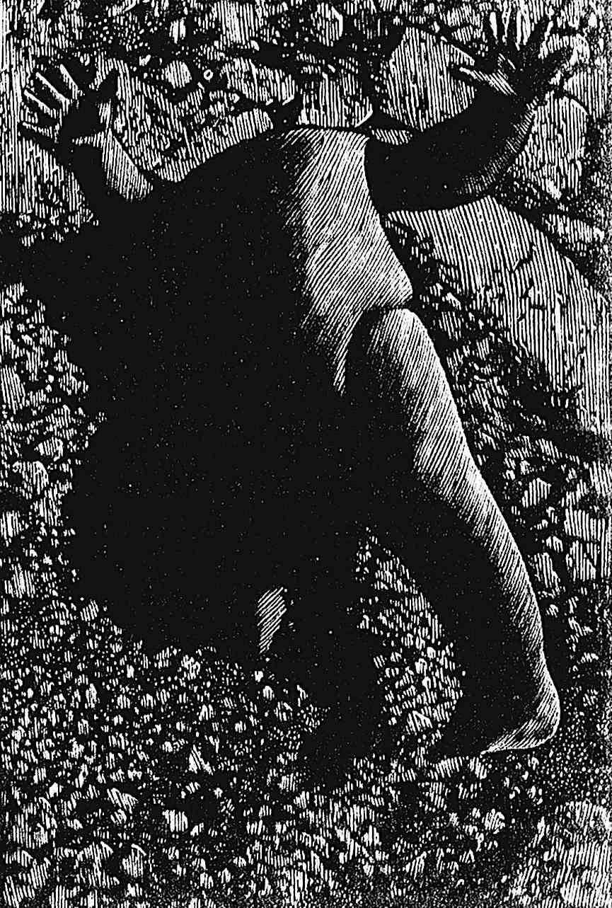 Barry Moser a headless child's doll by Barry Moser