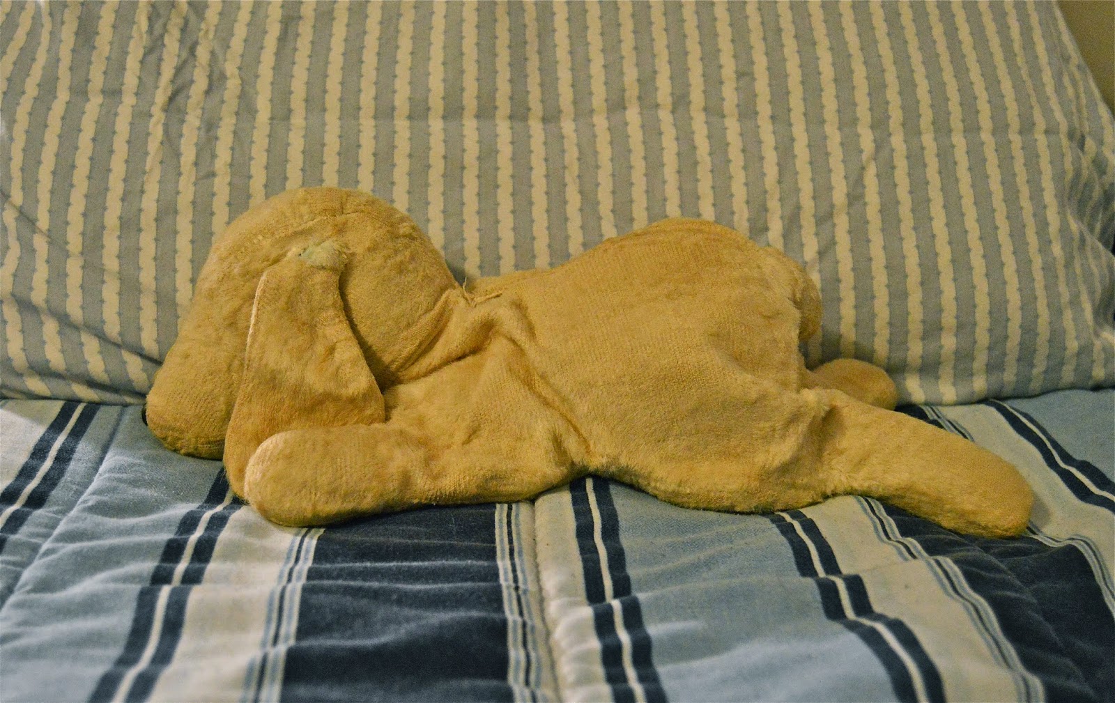 Blue Dog My childhood stuffed animal.