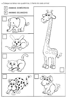 Animais domésticos e selvagens Animais domésticos e selvagens