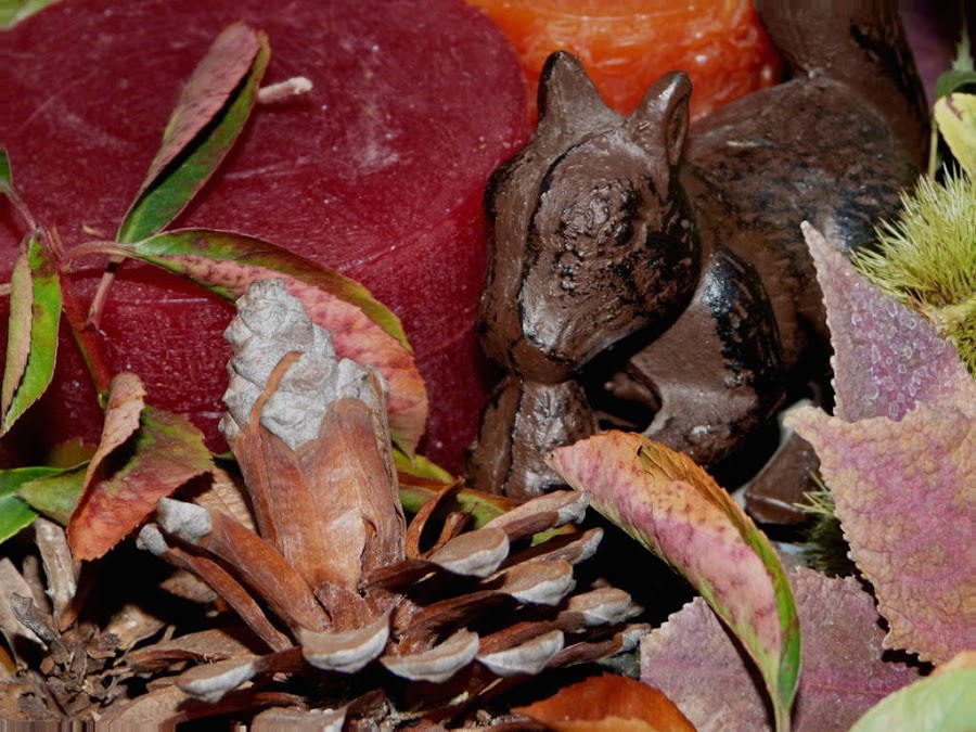 cesto-otoño-piñas-animales