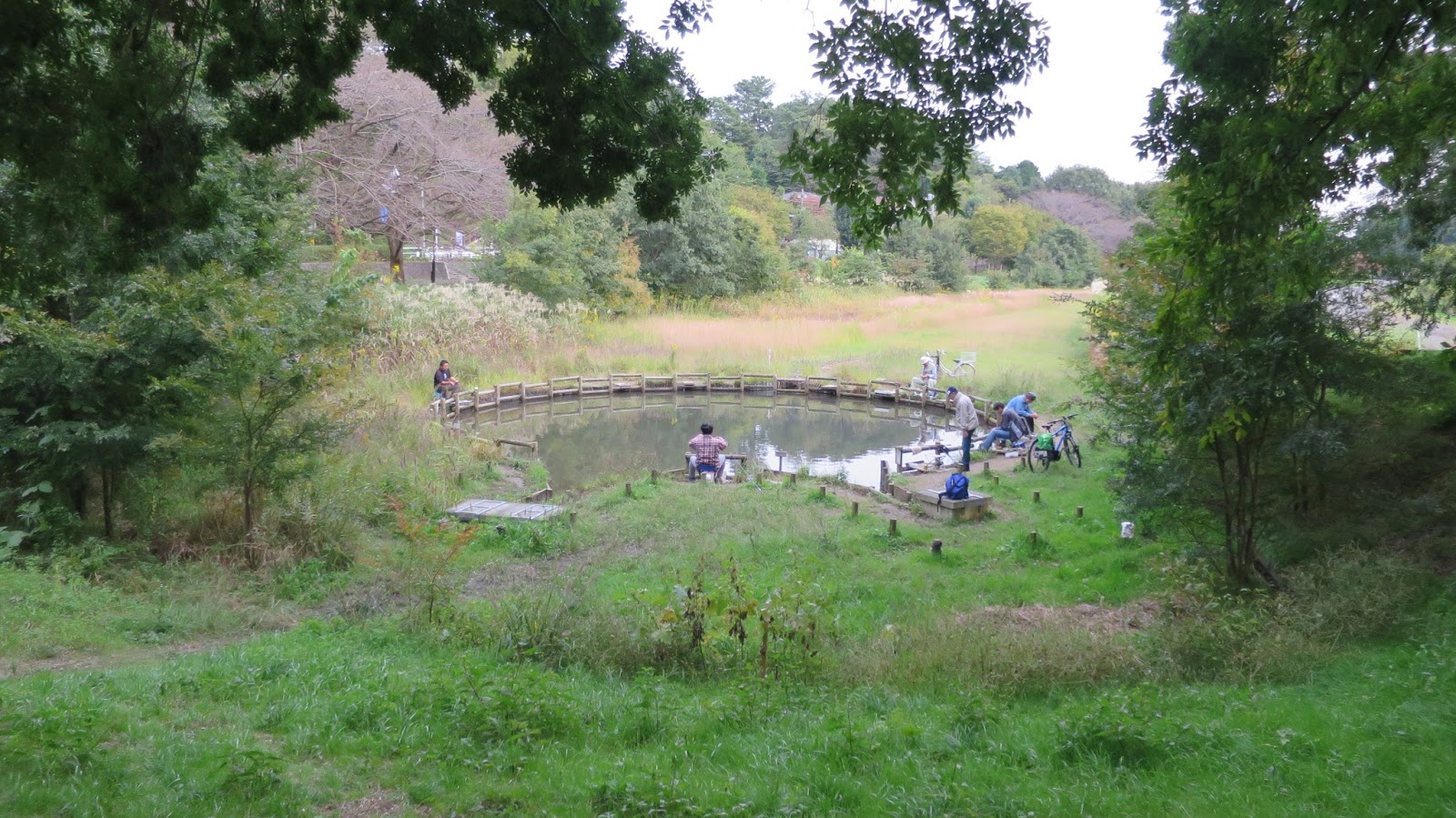 吉祥寺などの情報をゆる く紹介 野川公園の第一調整池に釣り堀