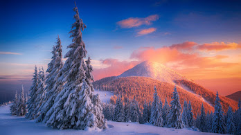 Snowy Wallpapers 4K HD