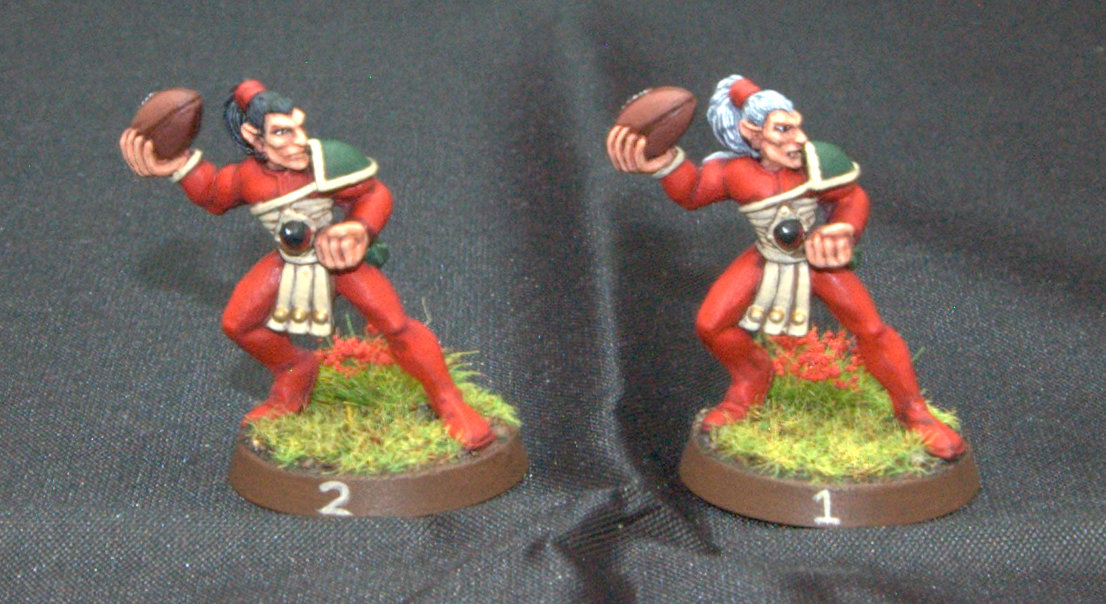 Blood Bowl Wood Elves completed