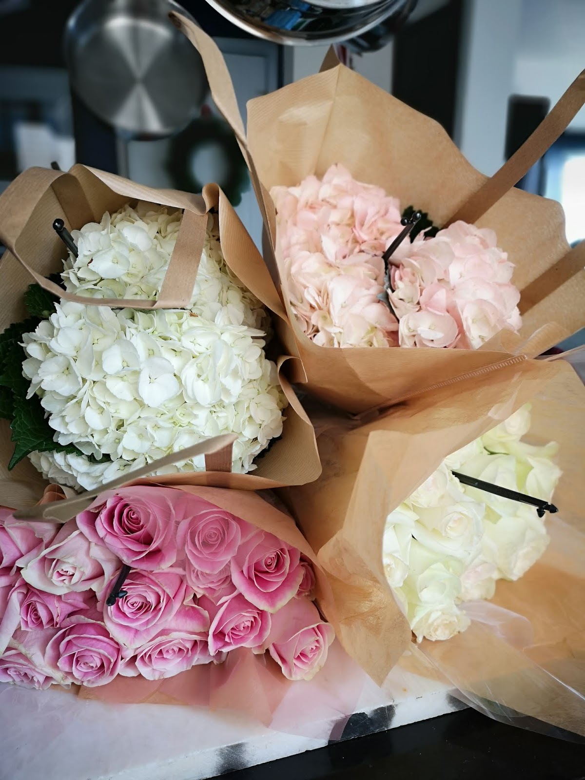 Hydrangea Has Lots Of Flower Buds But They Do Not Bloom