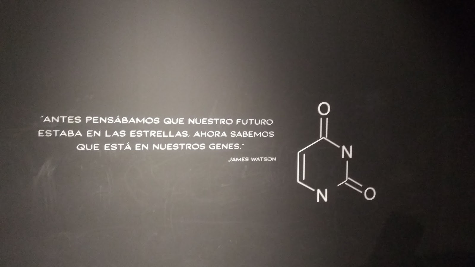 Dime De Donde Vienes Y Te Dire Quien Eres Letra Dime tus genes y te diré quien eres