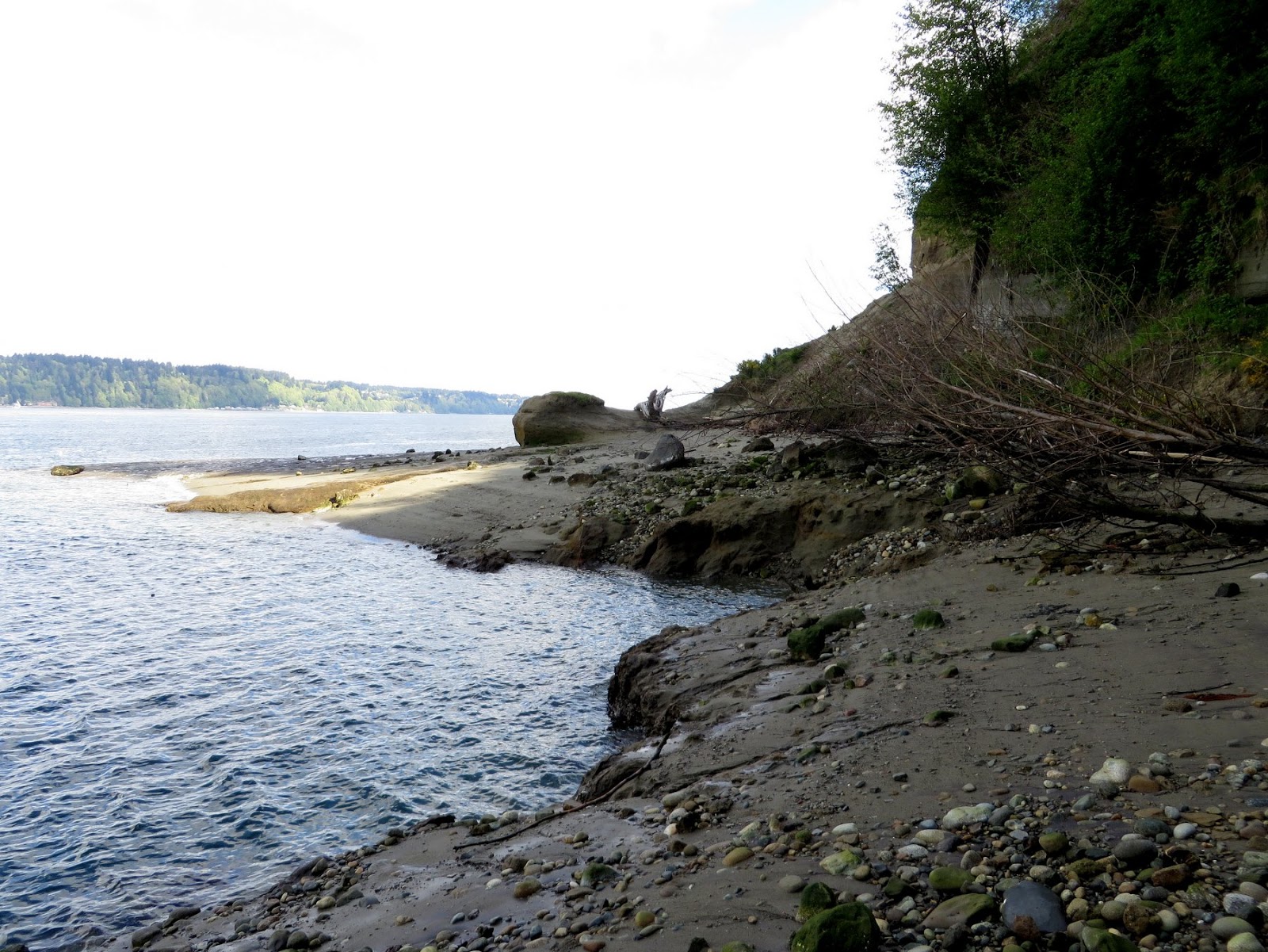 Gravel Beach: Point Defiance