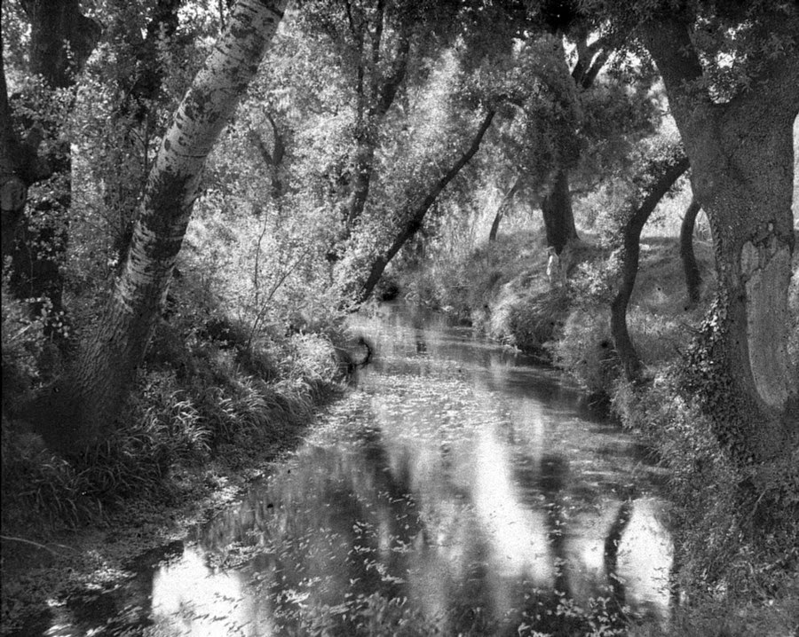 MONTCADA POST... LA RIGOLA