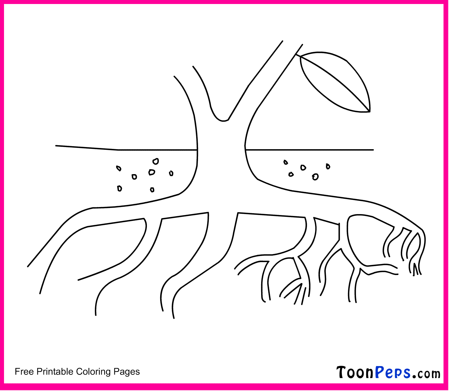 Печатал корень