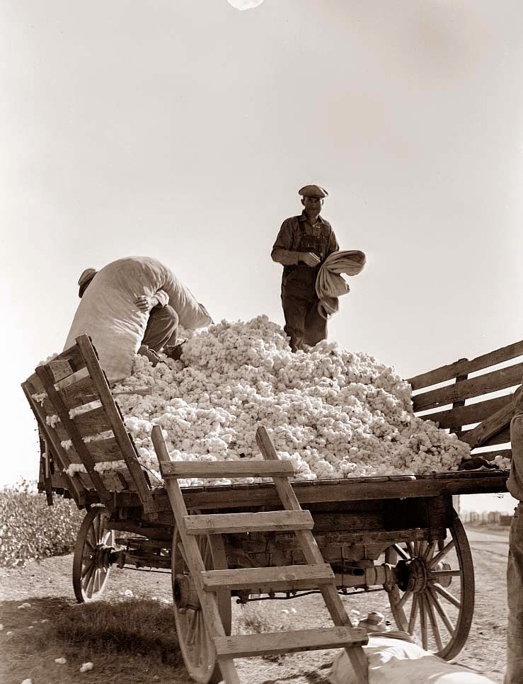 Bag Cotton Cotton Sacking