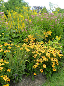 Ligularia Rudbeckia Joe Pye Weed late summer blooms at Toronto Botanical Garden by garden muses-not another Toronto gardening blog