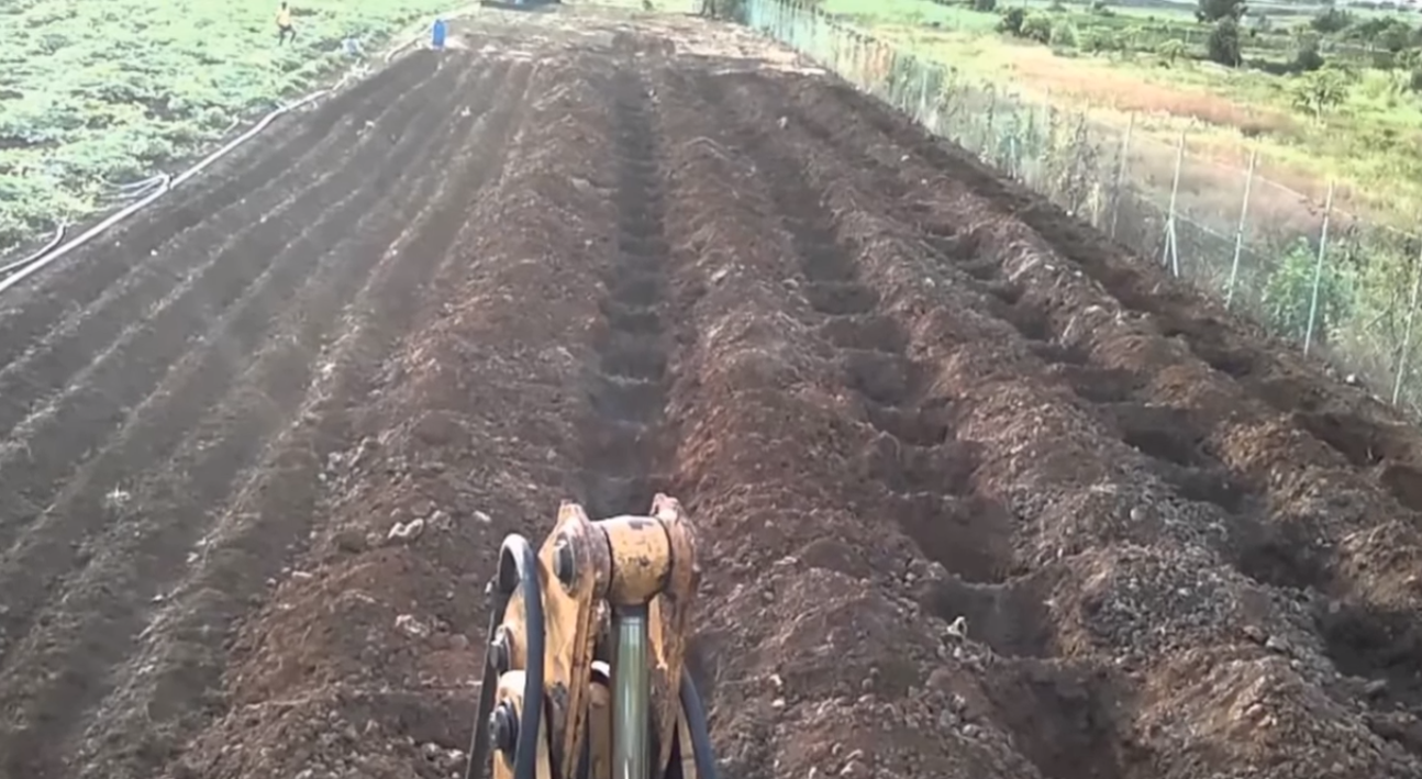 Land Preparation for Banana Cultivation Part I Banana Cultivation FRUITS