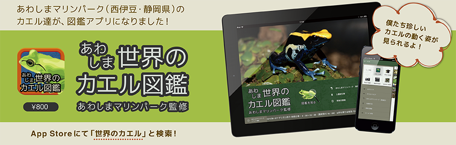 iPhone・iPad用図鑑アプリ「あわしま世界のカエル図鑑」公式サポートサイト