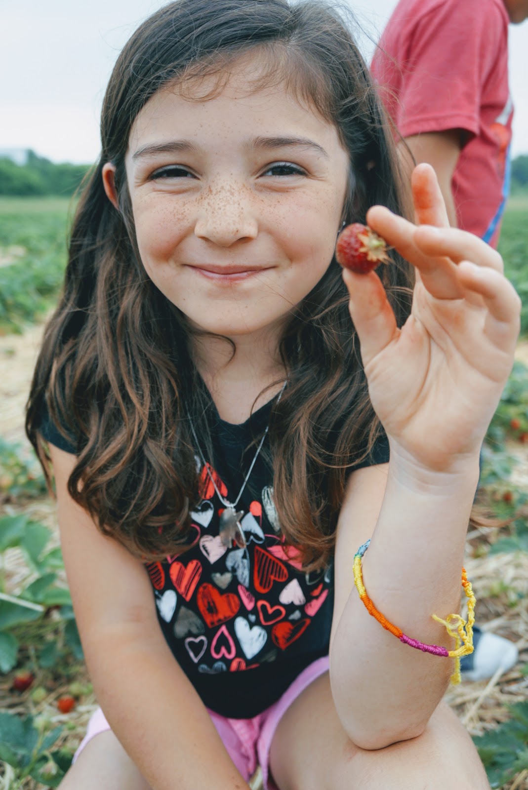 strawberry picking