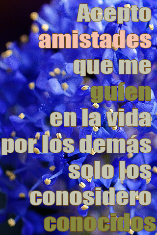 Acepto amistades que me guíen en la vida por los demás solo los considero conocidos Acepto amistades que me guíen en la vida por los demás solo los considero conocidos