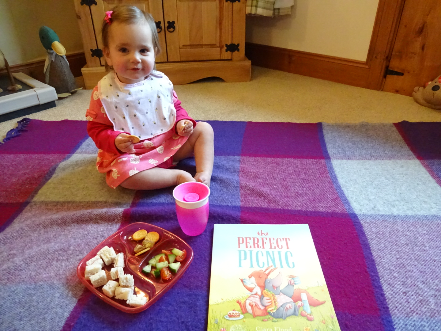 The Perfect Picnic BookBairn