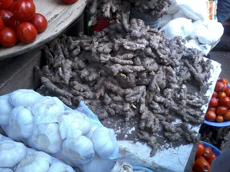 Ginger Garlic Paste Processing Business Business ideas Wiki