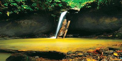 Mengeksplor Sorong, Sebuah Gerbang Menuju Surga Dunia di Papua Barat Taman Wisata Alam Sorong