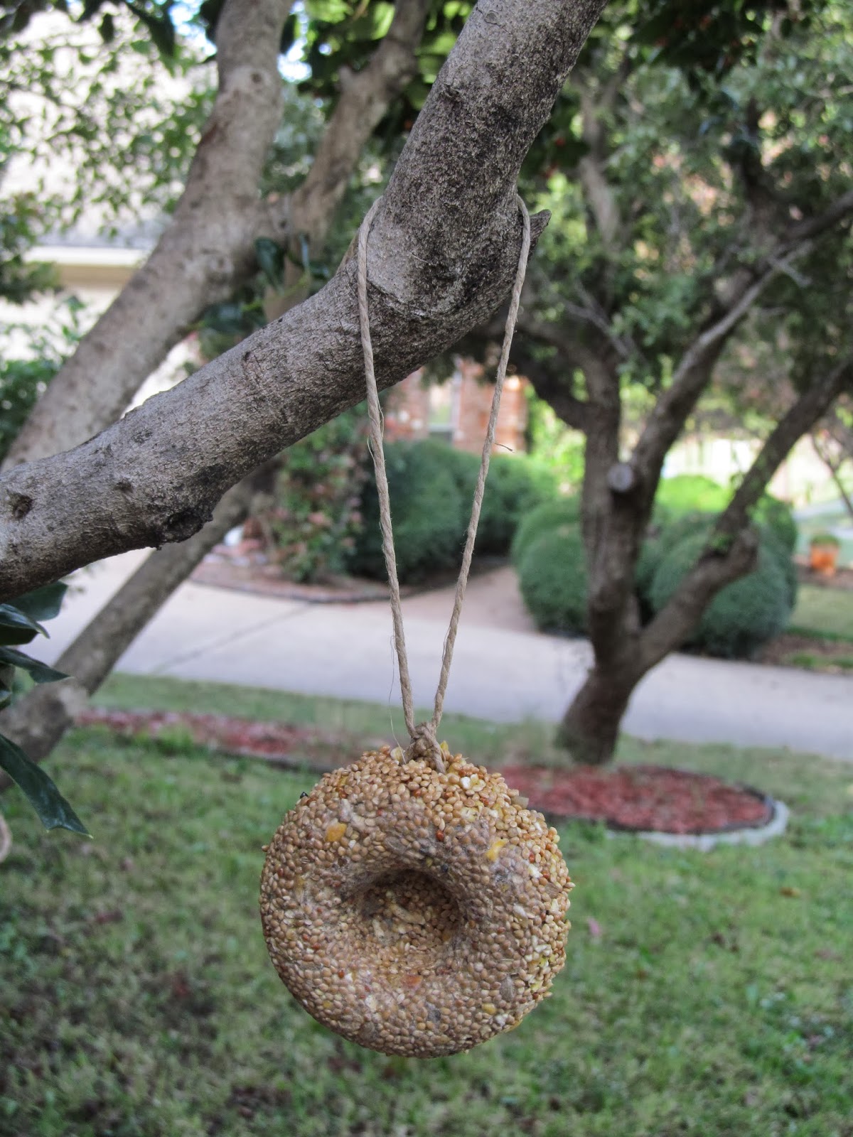 Tales Of A Needle And Thread FEEDING OUR FEATHERED FRIENDS.