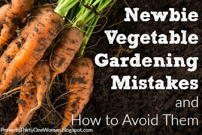 Newbie Vegetable Gardening Mistakes - and how to avoid them