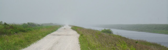 Lloviendo en los Everglades Lloviendo en los Everglades