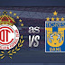 Toluca vs Tigres EN VIVO - ONLINE Por la jornada 14 de la Liga Mx. HORA Y CANAL