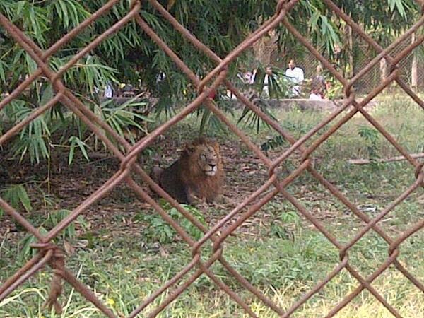lion escape owerri imo state