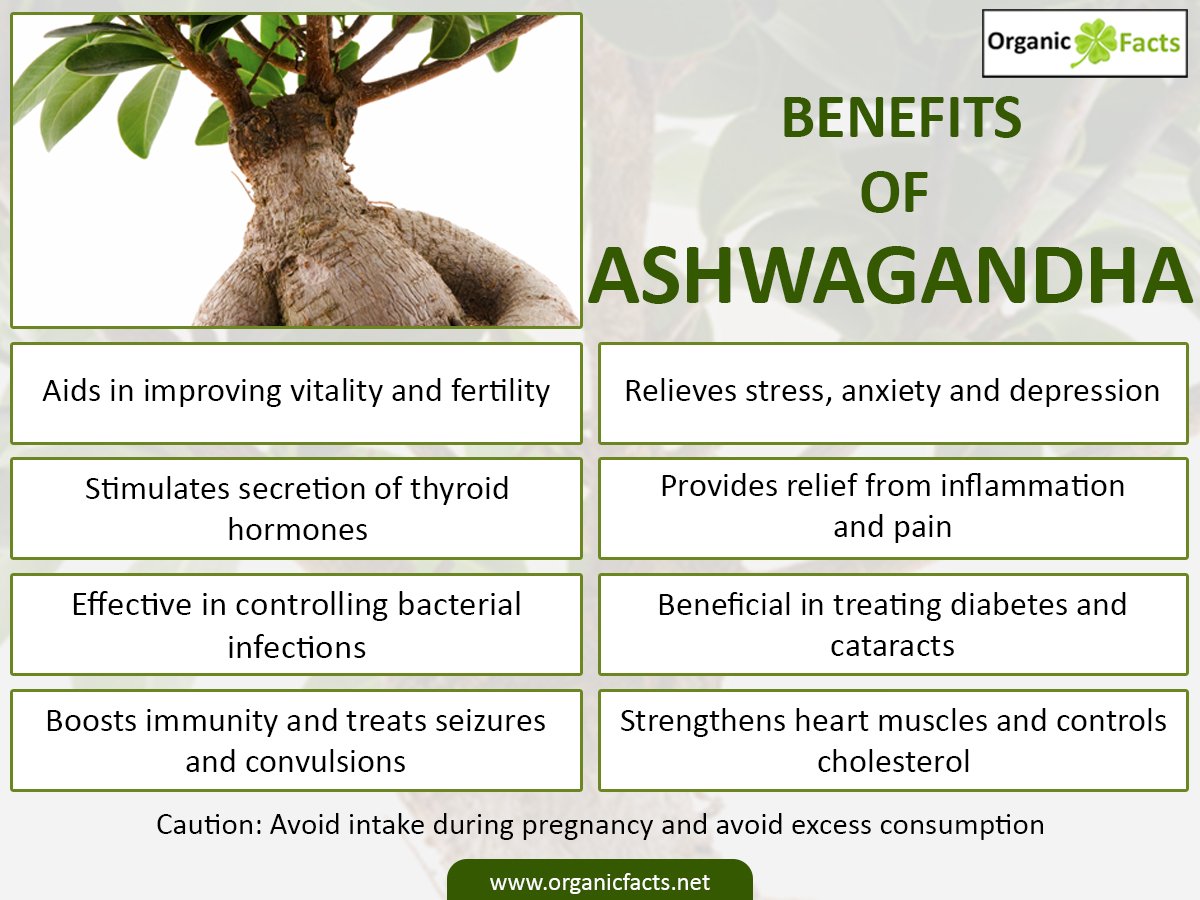 is it safe to take ashwagandha with other supplements
