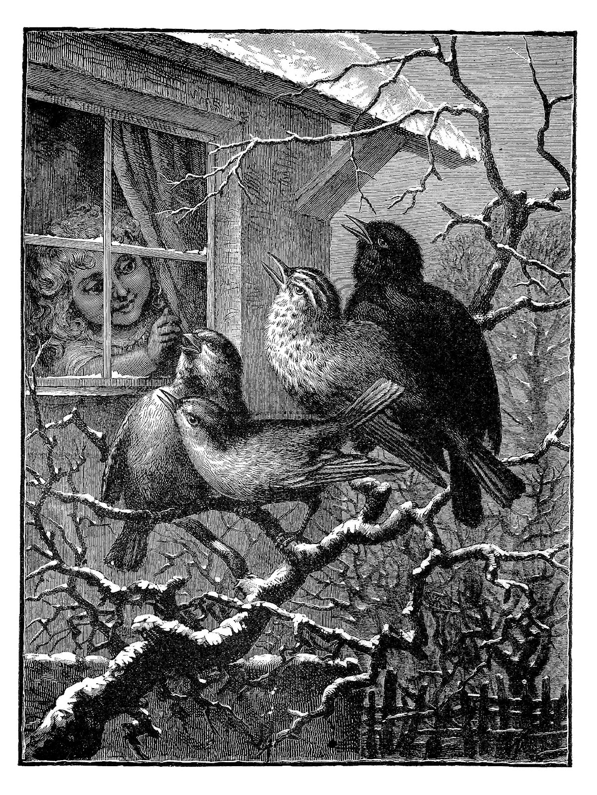 Antique Images: Vintage Bird Clip Art: Black and White Illustration of