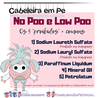 Lista de Ingredientes Proibidos para Low Poo e No Poo