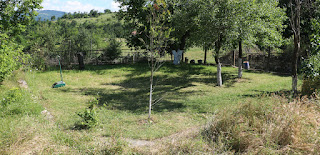 Getting the lawn a bit shorter Getting the lawn a bit shorter