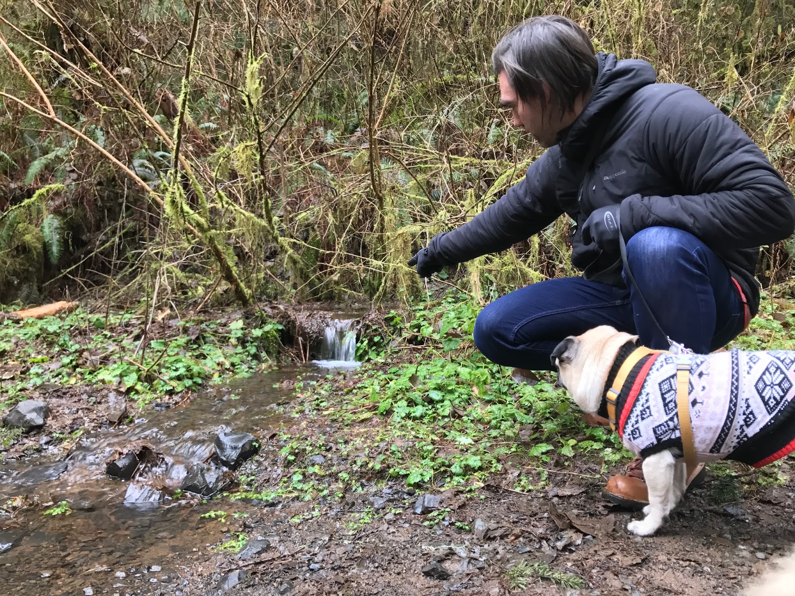 SILVER FALLS Christmas 2016 ROBBLAHBLOG