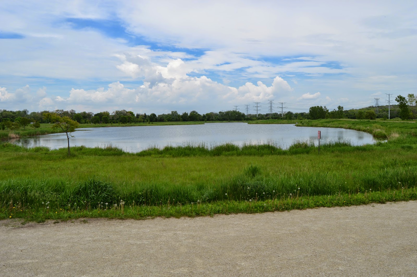 Industrial History Downers Grove Hidden Lake Forest Preserve
