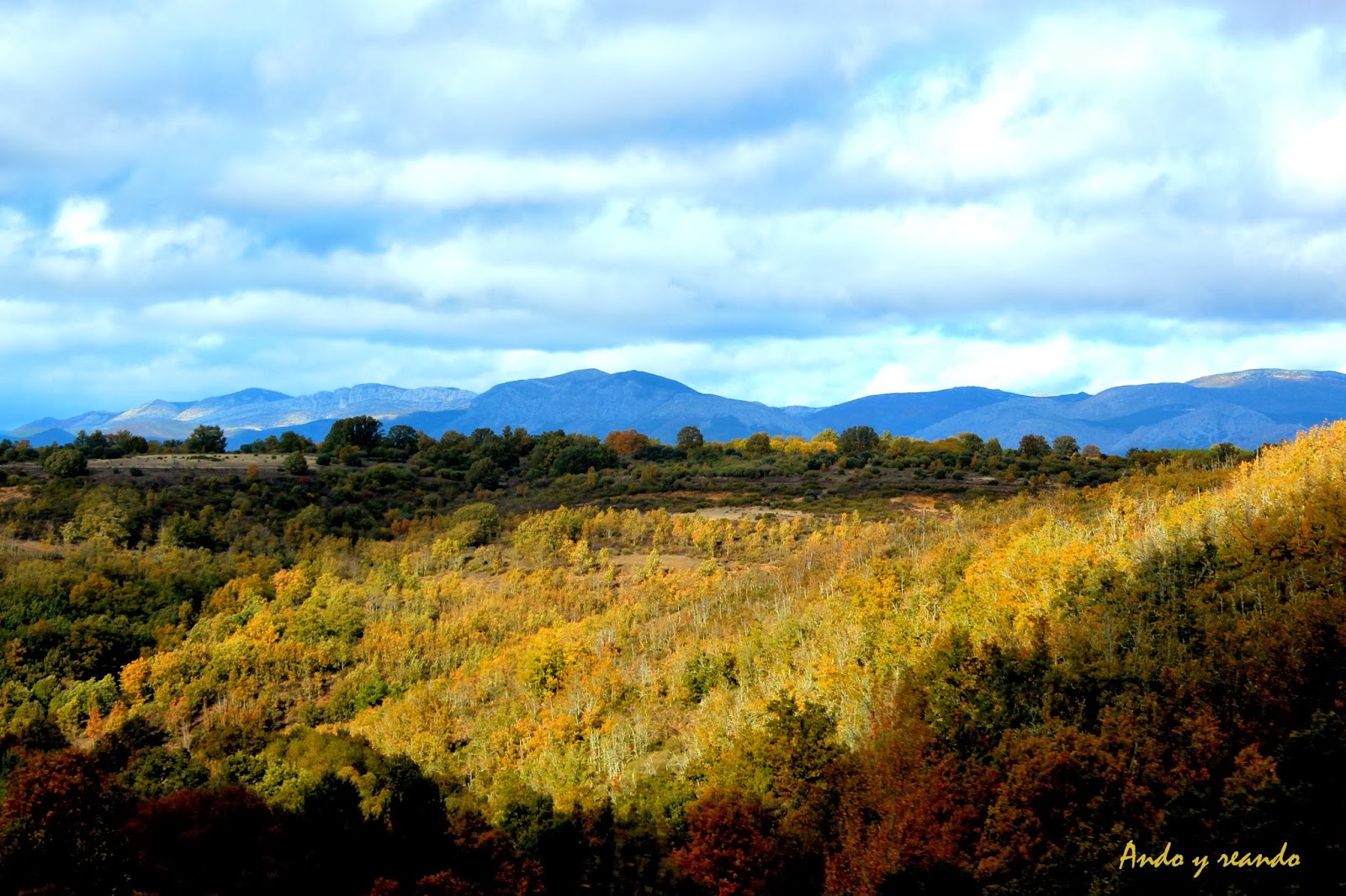 Omaña Bosques de otoño en Omaña, comarca de Omaña en León
