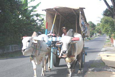 Dari Karung Goni Yang Berfungsi Untuk Menahan Terpaan Sinar Matahari Dan Tampias Air Hujan Tirai Ini Disangkutkan Pada Atap Dan Tiang Atap Gerobak Dari Karung Goni Yang Berfungsi Untuk Menahan Terpaan Sinar Matahari Dan Tampias Air Hujan Tirai Ini Disangkutkan Pada Atap Dan Tiang Atap Gerobak