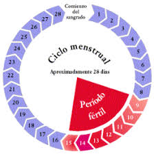 Periodo menstrual