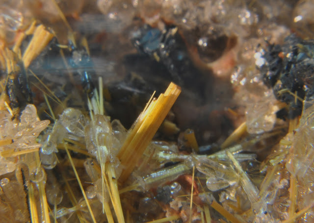 Concurso de Fotografía del Mes de Marzo de 2017: Fotografías de Microminerales Rutilo