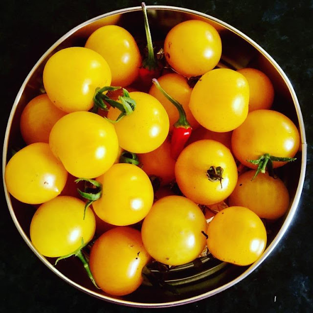 Our Four Favourite Homegrown Tomato Recipes including Chilli Chutney