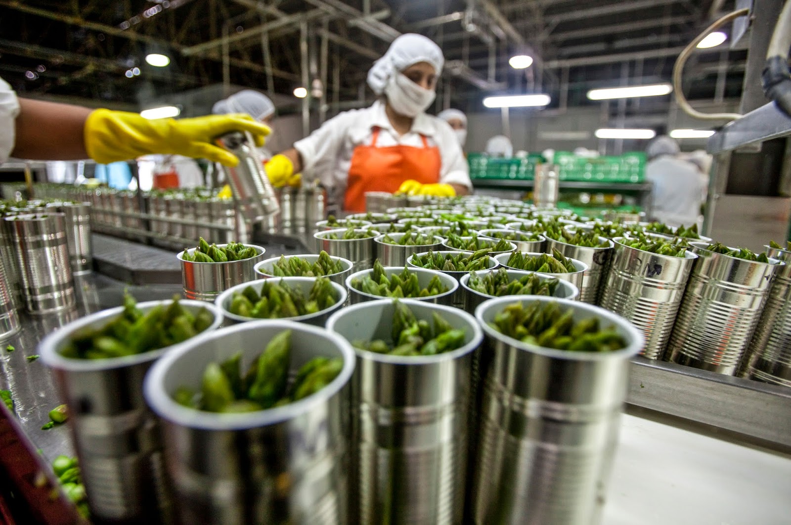 Perú agroalimentario Buenas prácticas de manufactura Negocios y