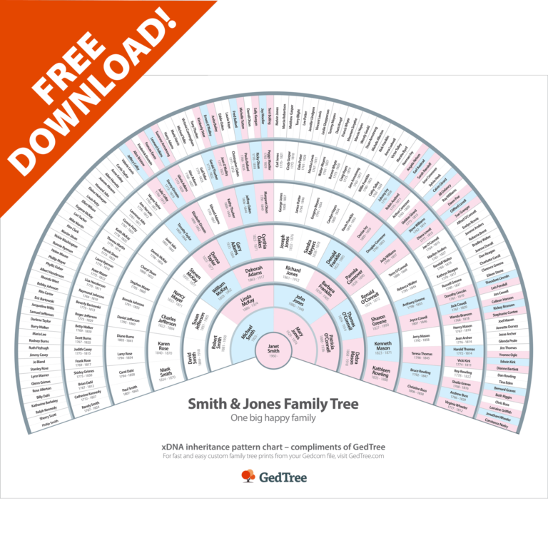 Family Tree Fan Chart Download