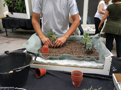 Curso cubiertas vegetales Madrid Curso cubiertas vegetales Madrid
