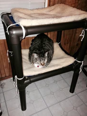 Kuranda Cat Tower Review | Stacey's Reviews