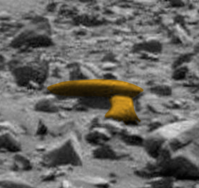 latest ancient alien news